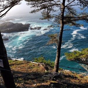 WILL CONSIDER BEST OFFERS! SHIPPED ASAP! 
Your Posher, Jennifer